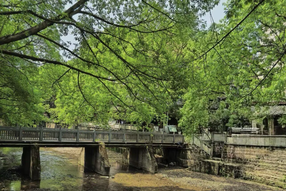 偏岩老街77号小住隐溪|枕黑水滩河入眠,午后在咖啡厅凉意从脚底漫上来
