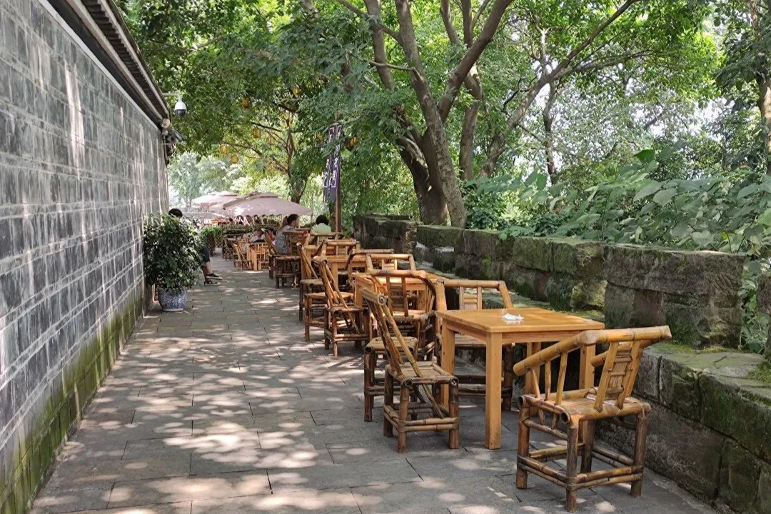 超龙坝坝茶:南滨路金辉城旁,花8块钱喝一下午江景茶
