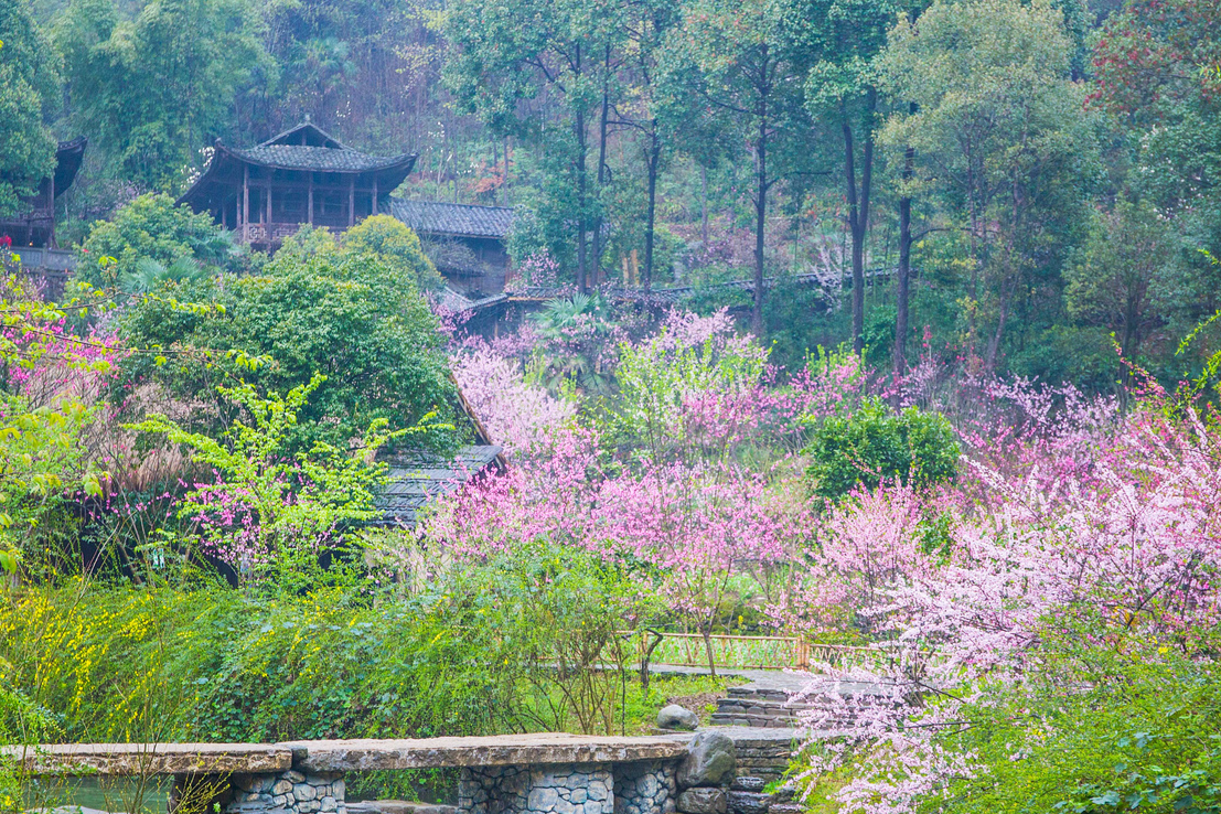2026年9月重庆酉阳土家族苗族自治县桃花源街道·户外休闲 推荐榜|走进酉阳桃花源那一刻,我好像真的懂了陶渊明