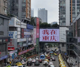 东北人在江北头像
